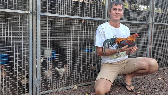 Cabinet-maker Ben Reinke’s true passion lies with his 140-strong flock of modern game bantam chickens. Picture: Lorna Roberts