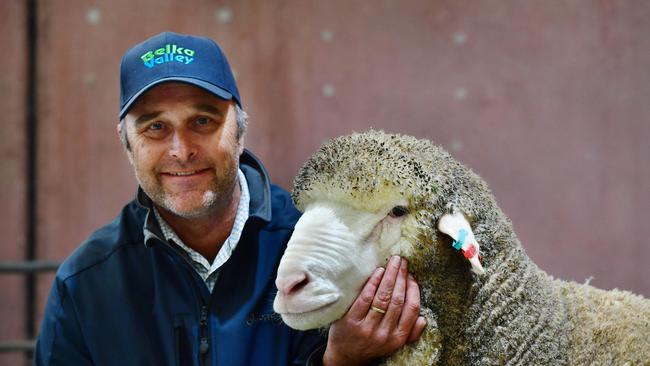 Phil Jones from Bruce Rock WA and his Poll Merino ram that sold privately after being shown at the Australian Sheep and Wool Show. Picture: Zoe Phillips