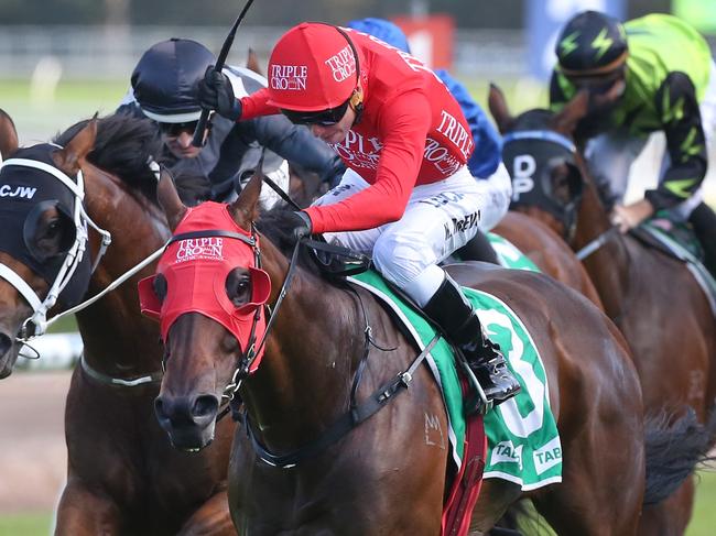 Redzel ridden by Kerrin McEvoy wins the TAB Hall Mark Stakes race  during the All Aged Stakes Day at Randwick Racecourse in Sydney, Saturday, April 15, 2017. (AAP Image/Craig Golding) NO ARCHIVING, EDITORIAL USE ONLY