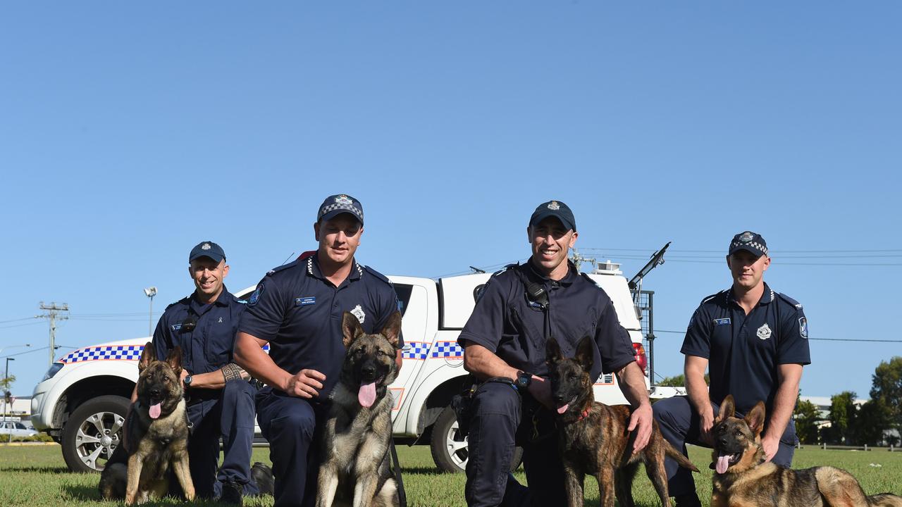 After the shocking death of Fraser Coast police dog, we look back on ...