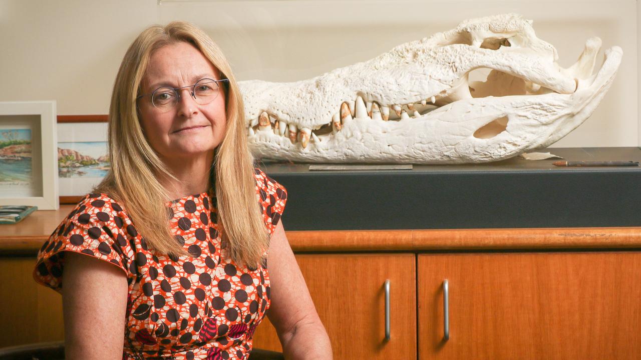 Territory Coroner Elisabeth Armitage ahead of the Kumanjayi Walker inquest in September. Picture: Glenn Campbell