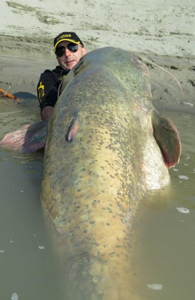 When you catch a fish this big, you should hop in the water and give it a cuddle. Picture: Sportex Italia/Facebook