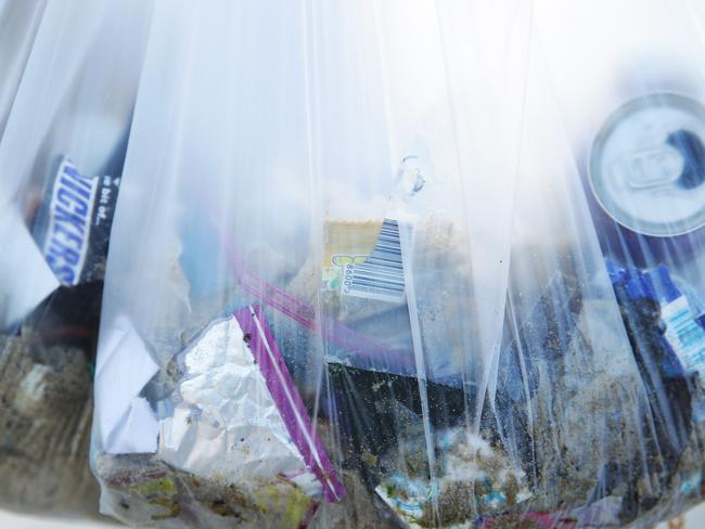 Clean Up Australia Day will be held across the Coast on March 4. Picture: Braden Fastier