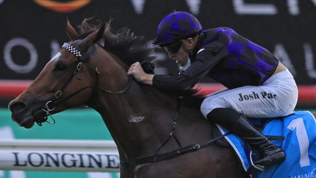 Last start winner Big Parade is suited by a wet track. Picture: Getty Images