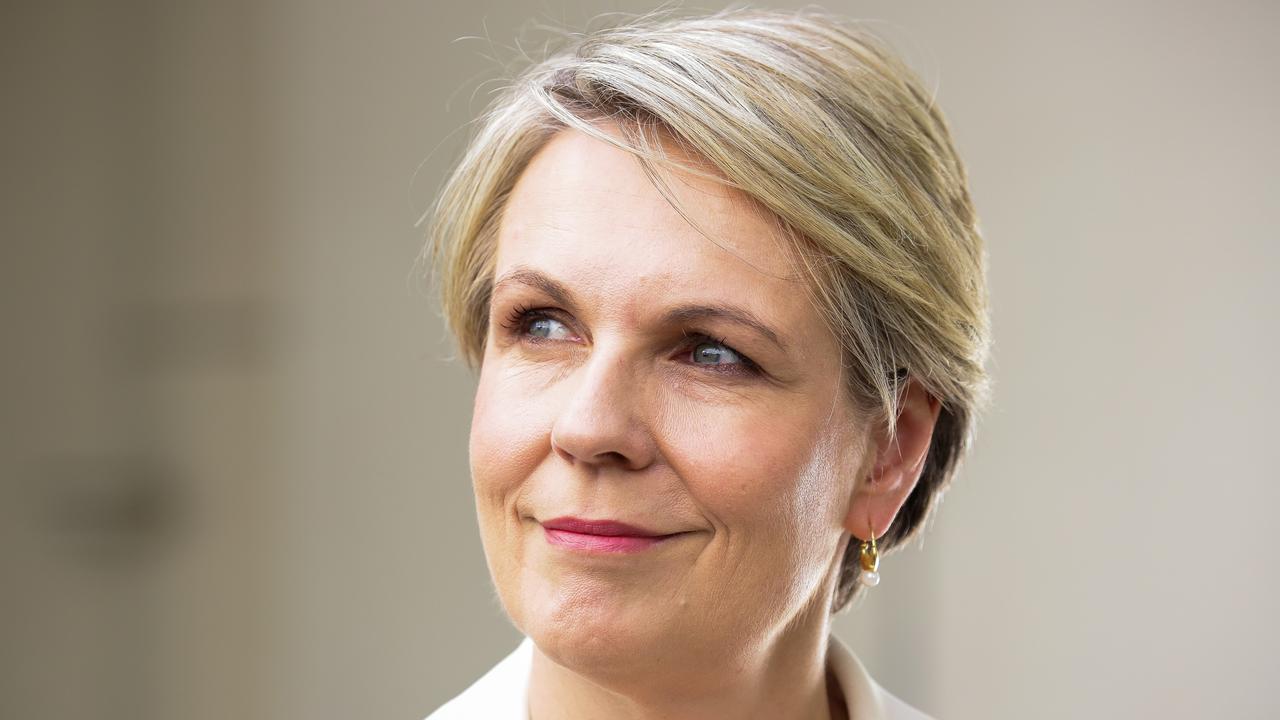 Tanya Plibersek says the scheme is “no help at all”. Picture: NCA NewsWire/Gaye Gerard