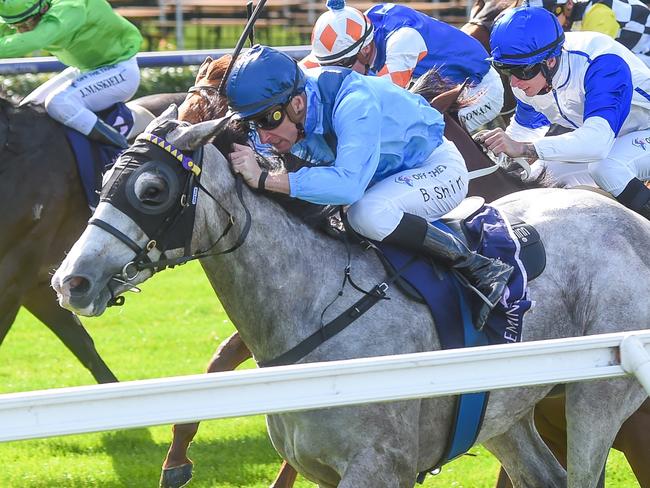 Le Zebra (NZ) ridden by Blake Shinn wins the Jockey Appreciation Plate at Flemington Racecourse on May 20, 2023 in Flemington, Australia. (Photo by Reg Ryan/Racing Photos via Getty Images)