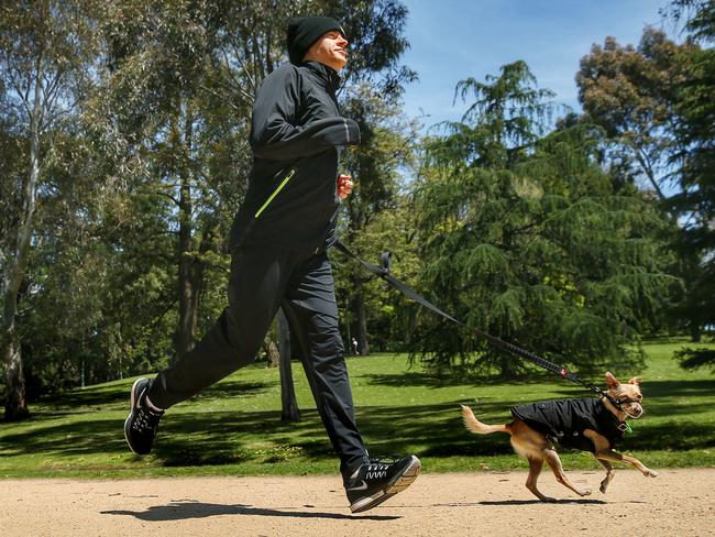 Fitness: Nick Hall runs the Tan with his dog Lilly. Picture: Colleen Petch