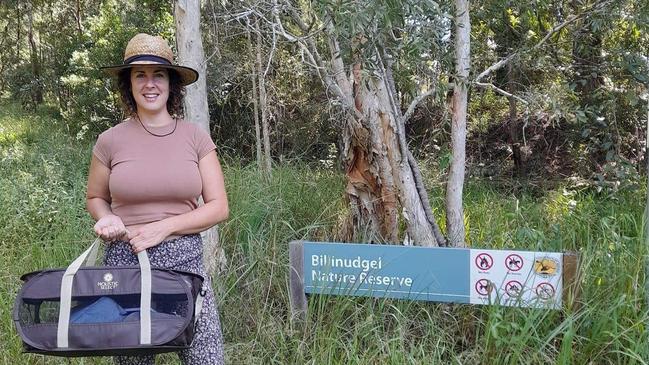 Luka Tremback saved 4 kittens and has been able to re-home them after the 2022 floods in NSW.