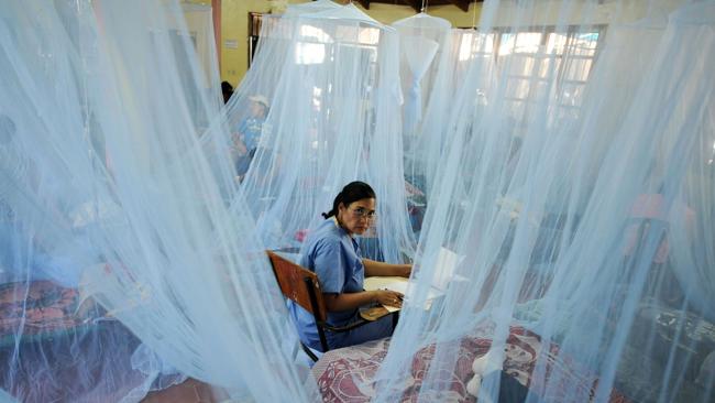 A nurse works in a ward for patients affected with dengue fever. Picture: AFP