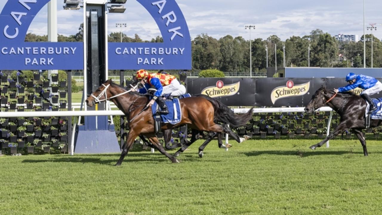 Autumn Boy denies stablemate Central Coast (inside, obscured) in the opening race at Canterbury on Monday. Picture: Bradley Photos