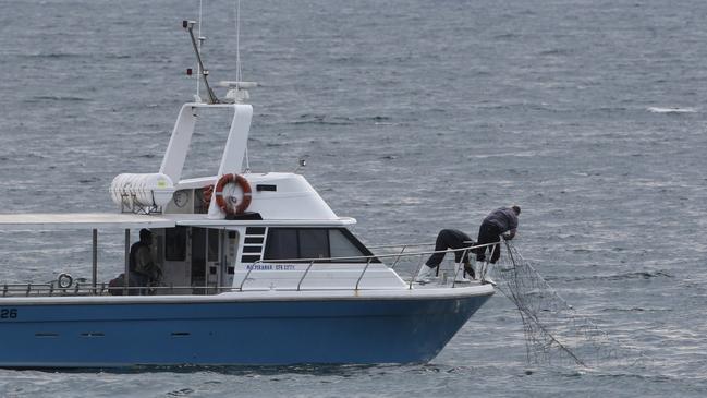 The shark meshing boat off Manly in 2010.