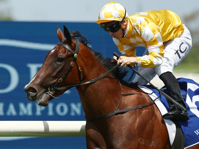 SYDNEY, AUSTRALIA - FEBRUARY 03: Tim Clark riding Lady Of Camelot wins Race 5 Widden Stakes during "Southern Cross Stakes Day" - Sydney Racing at Rosehill Gardens on February 03, 2024 in Sydney, Australia. (Photo by Jeremy Ng/Getty Images)