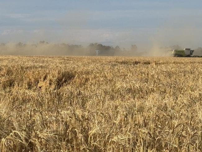 Farmers harvest some bumper crops at Moree in northern NSW. Picture: Supplied