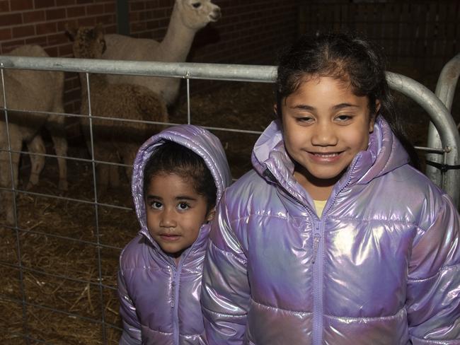 Tapaita and Ameera-Reign Pomeâ€™e checking out the animals at the Mildura Show 2024. Picture: Noel Fisher