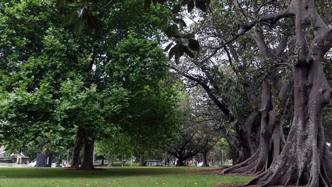 Lyne Park in Rose Bay.