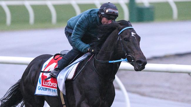 Gold Trip has been found to be lame heading into the Cox Plate. Picture: Getty Images