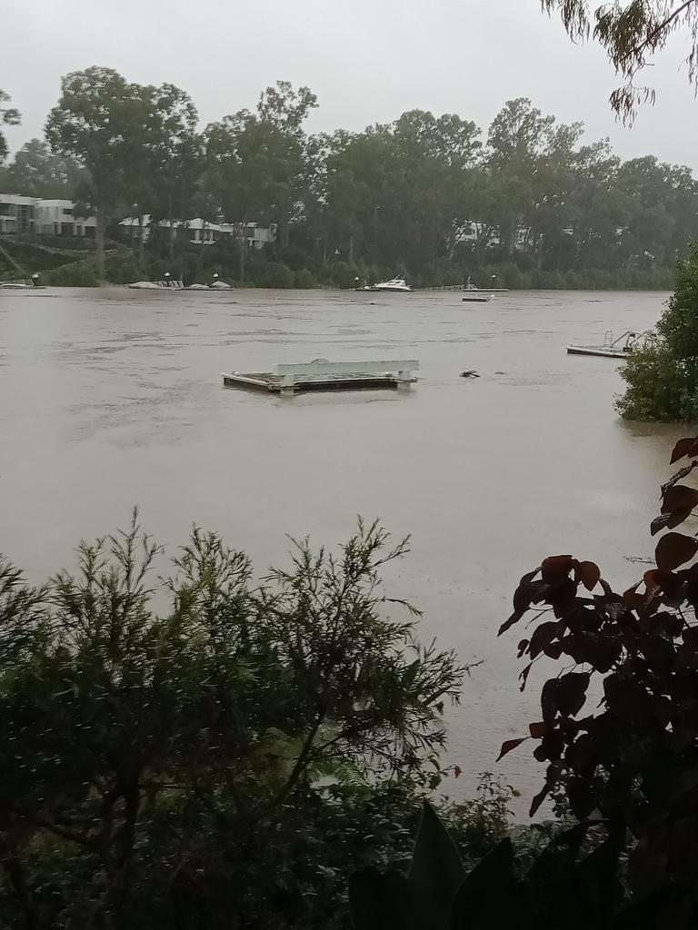 The swollen Brisbane River at Jindalee.