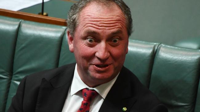 Barnaby Joyce could be up the proverbial creek without a paddle. Picture: AAP