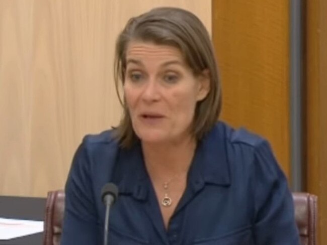 NSW Senator and Nationals deputy leader Perin Davey slurred her speech during a Senate environment and communications legislation committee hearing on February 13, 2024. Picture: Supplied