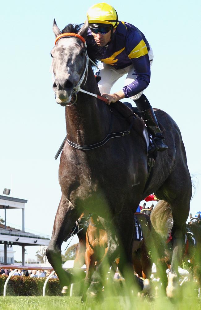 Chautauqua on course as expected to dominate all the sprint features this autumn. Picture: Getty Images