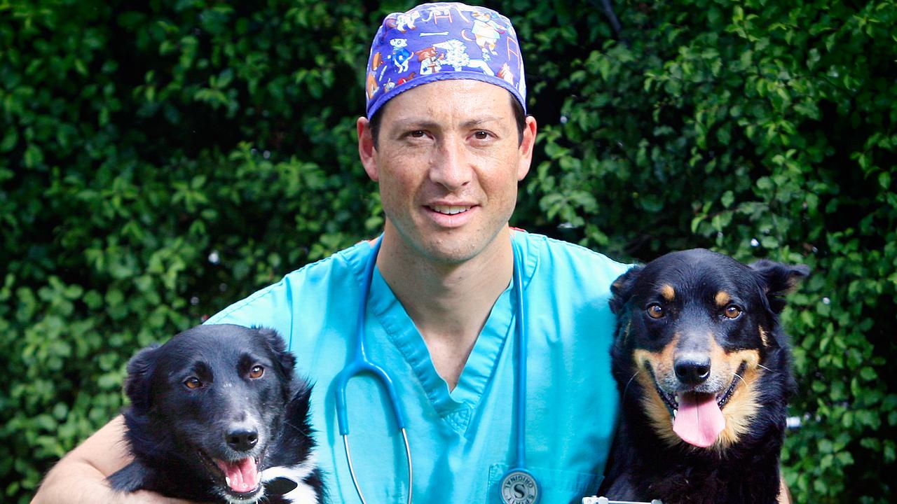 Vet Christopher Preston stripped of licence after 'botched' surgeries on  dogs | Herald Sun