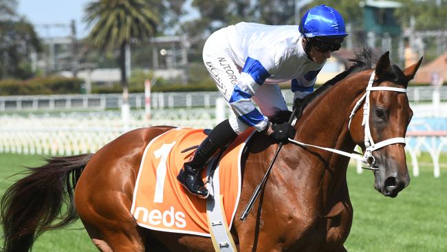 Kolding will line up in the Expressway Stakes. Picture: AAP