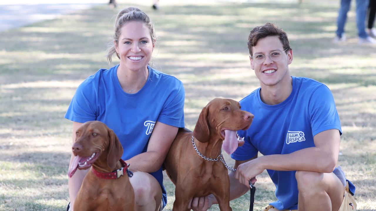 Mitch Larkin, Emily Seebohm split: Larkin says he's no ...