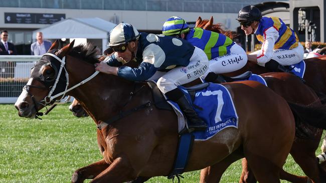 Soulcombe is one of the chances in the Turnbull Stakes on Saturday. Photo: George Sal/Getty Images.