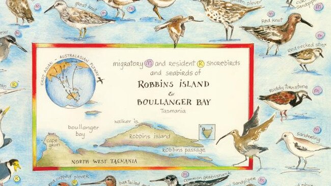 Birdlife of Robbins Island prints released to raise fighting funds. Picture: Supplied