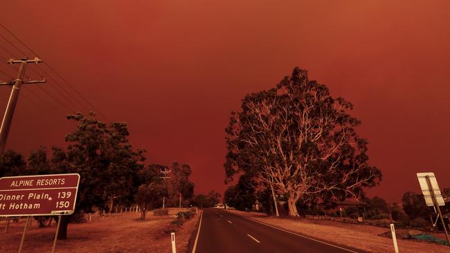 East Gippsland communities affected by the 2019-20 Black Summer fires continue to recover, emotionally and physically. Photo: Darrian Traynor