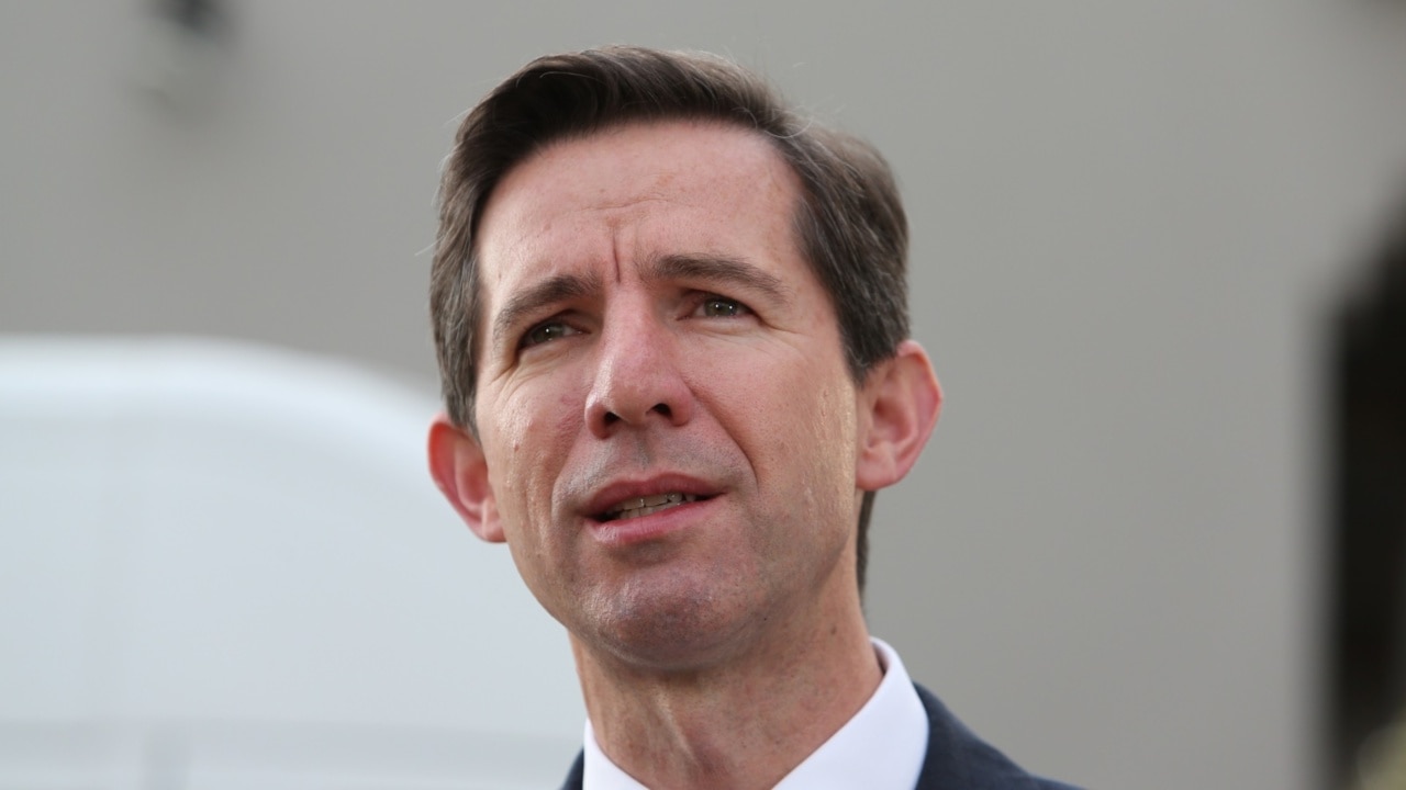 Simon Birmingham proposes a blueprint to make the Liberal party more inclusive