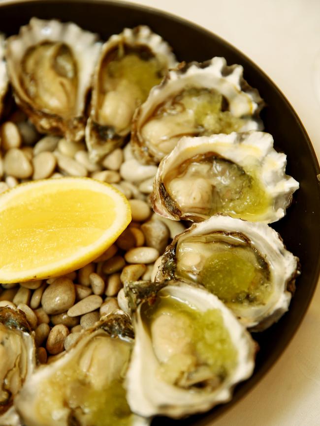 Oysters at Lucio's Paddington. Picture: John Appleyard