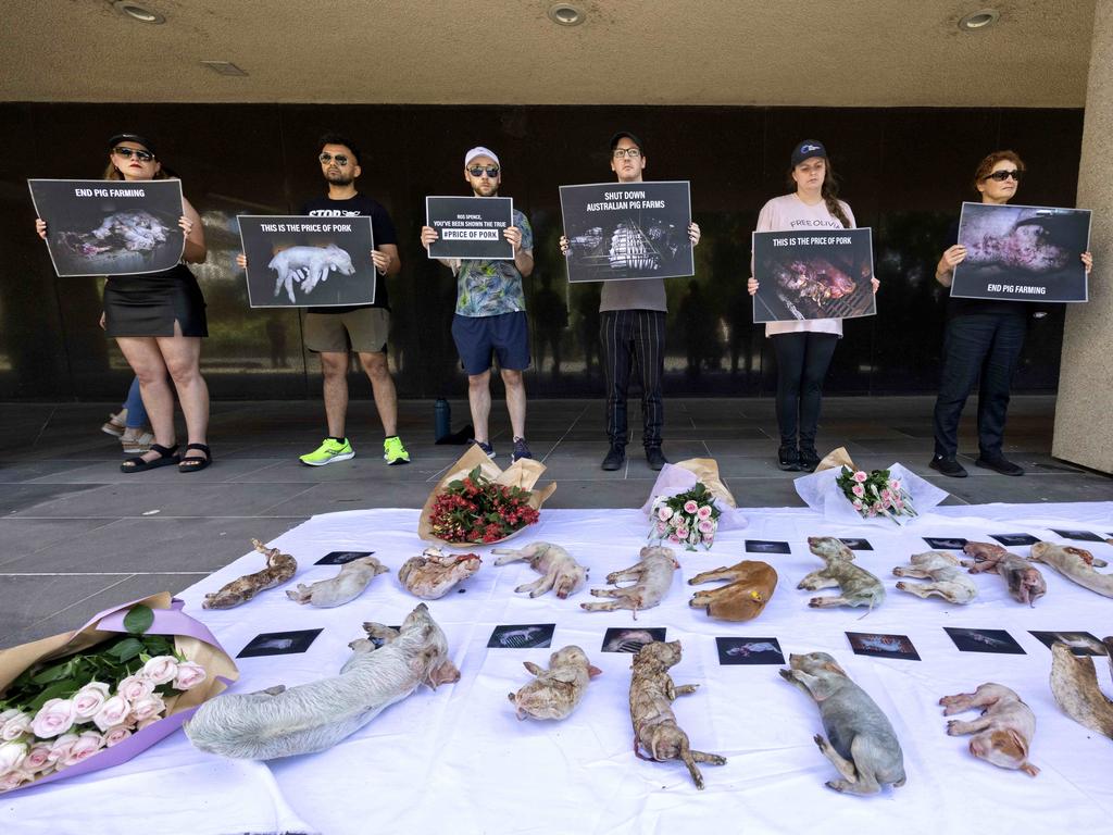 About 50 protesters took part in the action. Picture: David Geraghty