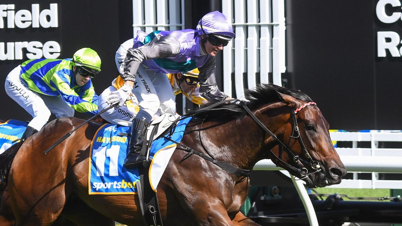 Hayasugi. Picture: Pat Scala/Racing Photos via Getty Images