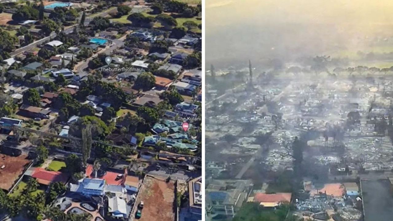 Whole neighbourhoods and a butterfly farm are seen burnt to the ground. Picture: Tiktok/@bites_socks_box_o_rocks