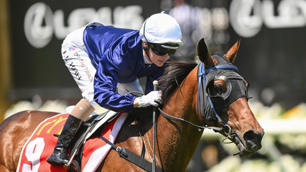 Melbourne Cup 2024 Tasmanian bred The Map ‘knows she’s good’ NT News