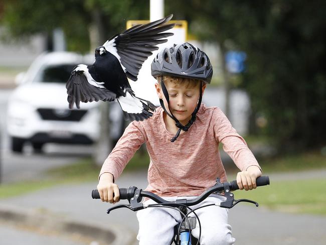 Terrifying moment ‘devil spawn’ repeatedly attacks young boy