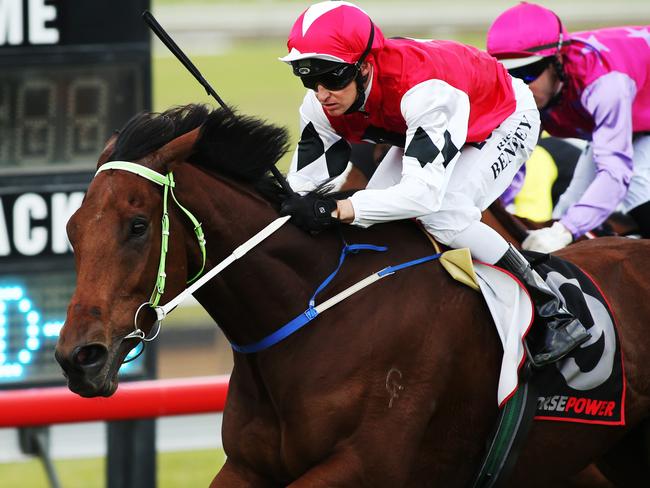 Clouds develop QTC Cup intrigue