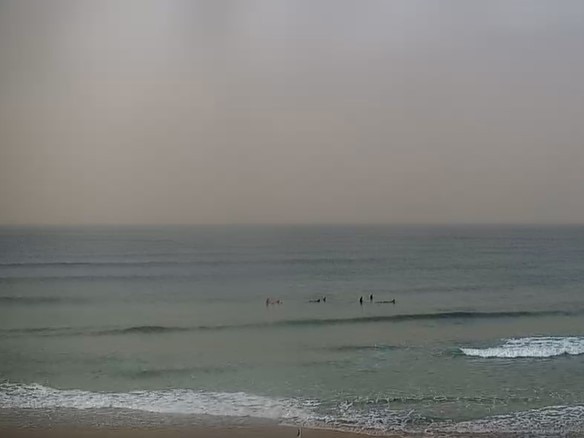 Dust haze visible off North Cronulla beach on Tuesday morning. Picture: NSW Government