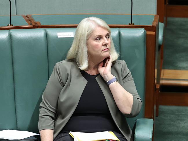 Home Affairs Minister Karen Andrews. Picture: NCA NewsWire / Gary Ramage