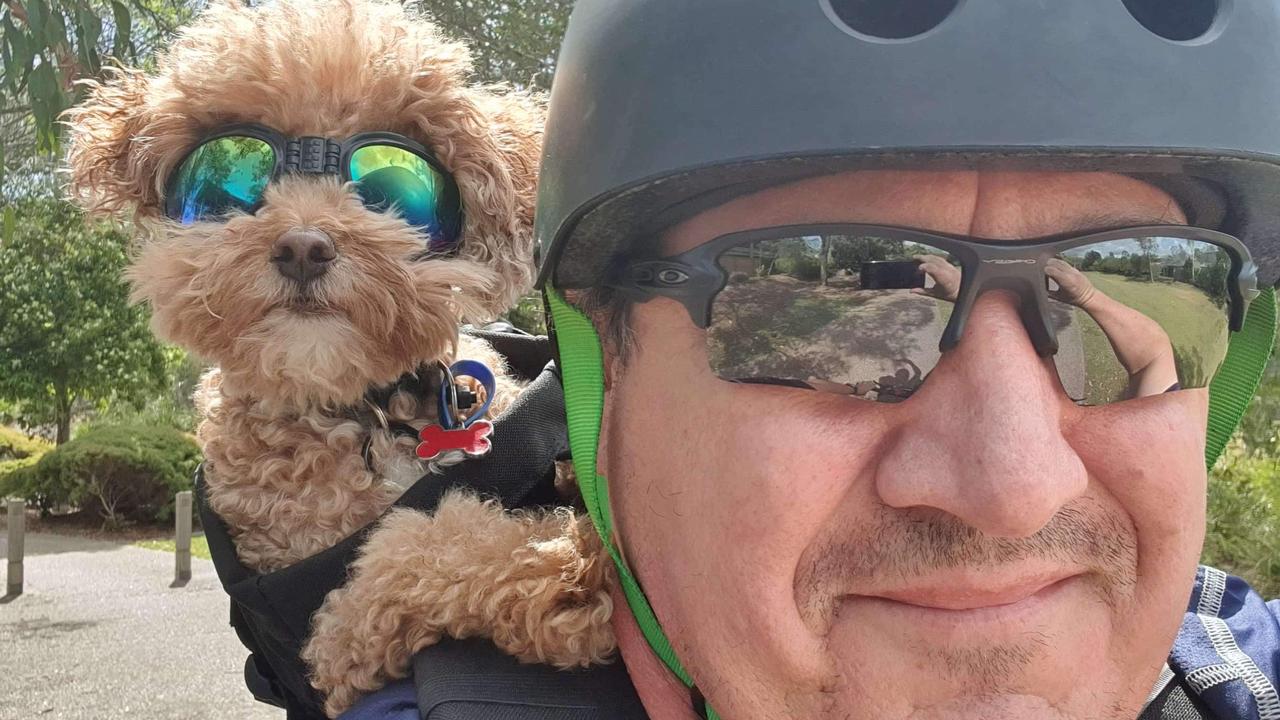 North Lakes dog goes viral | The Courier Mail