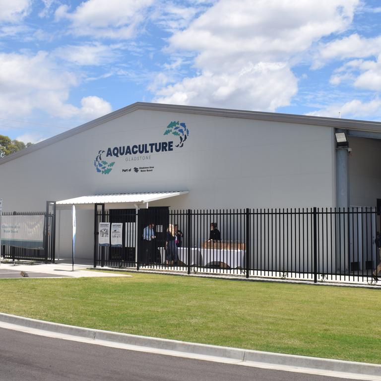 The Gladstone Area Water Board (GAWB) unveiled its $12m purpose-built Aquaculture fish hatchery operations on Friday. Picture: Nilsson Jones