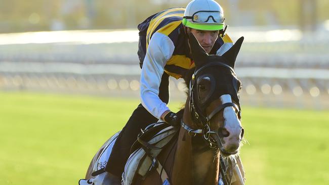 Tom Melbourne has drawn well and should rattle home in the All Aged Stakes. Picture: Getty Images