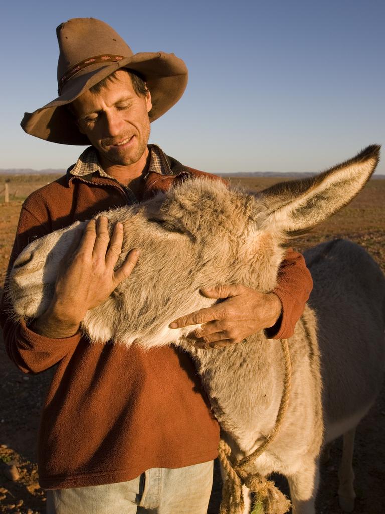 A Portrait Of Australia In Pictures | The Cairns Post