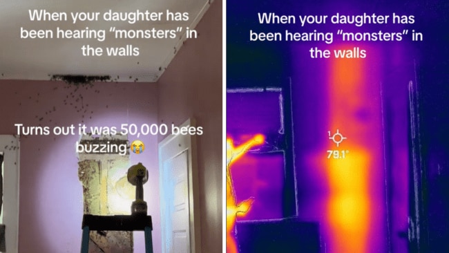 Her daughter could hear something in the walls, she was right. Source: TikTok