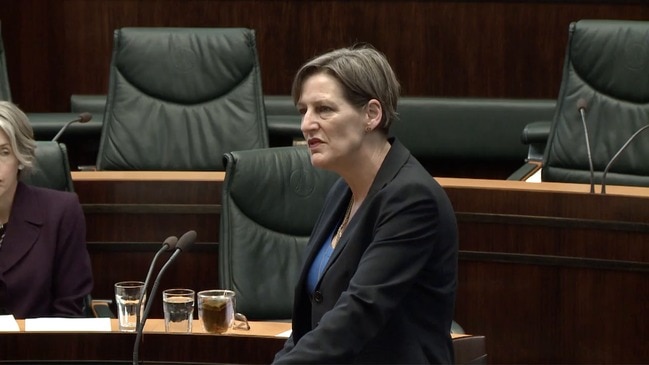 Independent Madeleine Ogilvie asks her first question in parliament