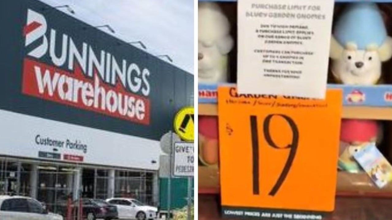 Bunnings Sparks Frenzy With 19 Bluey Hammerbarn Garden Gnome The Advertiser 2291