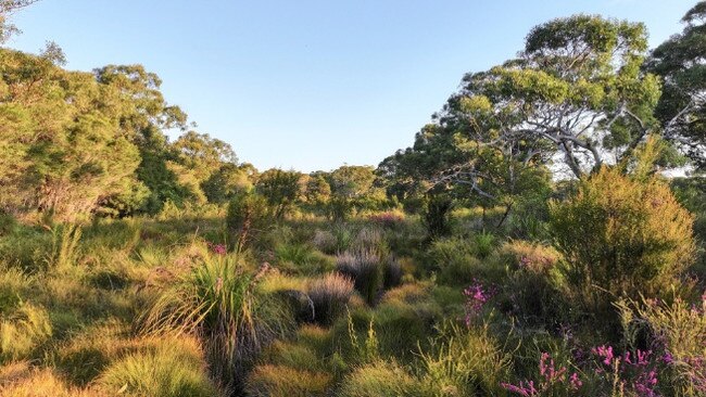 The Wallum development site at Brunswick Heads. Picture: Save Wallum