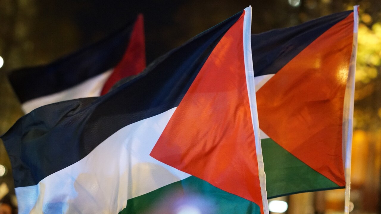 Thousands of actors and musicians vow to stand in solidarity with Palestine