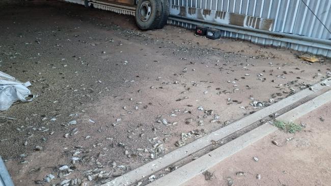 An image of the mouse plague in rural NSW. Picture: Supplied